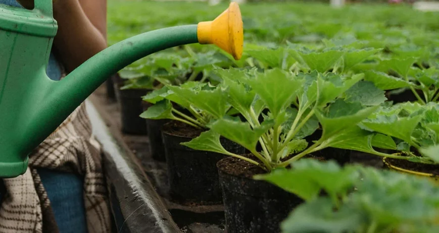 Organic farms avoid toxic inputs, improve soil health, grow clean, sustainable food that supports nature.